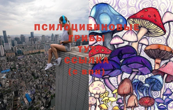прущие грибы Горняк