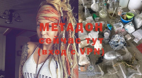прущие грибы Горняк