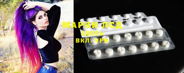 прущие грибы Горняк