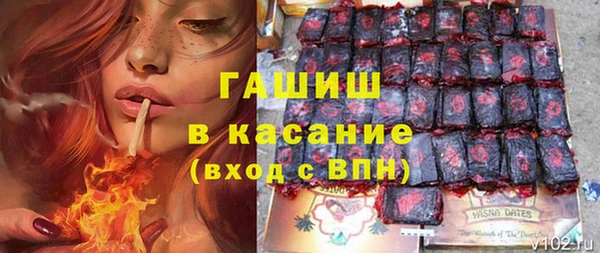 прущие грибы Горняк