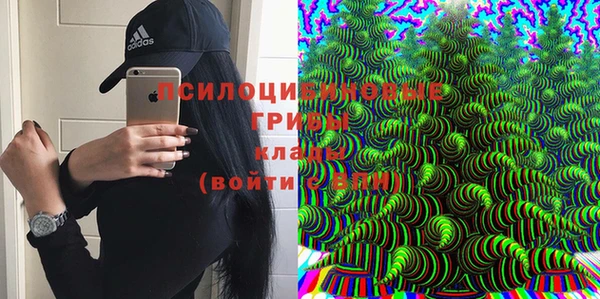 МДПВ Горнозаводск