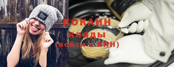 прущие грибы Горняк