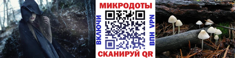 Псилоцибиновые грибы Psilocybine cubensis  Елец 